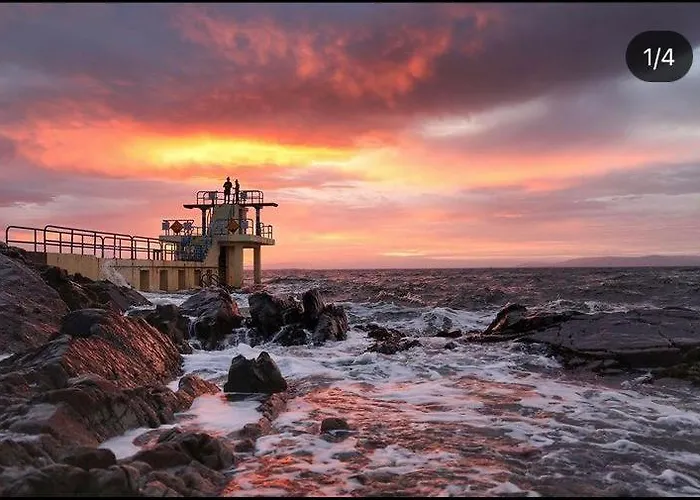 Mocha Newcastle * Galway