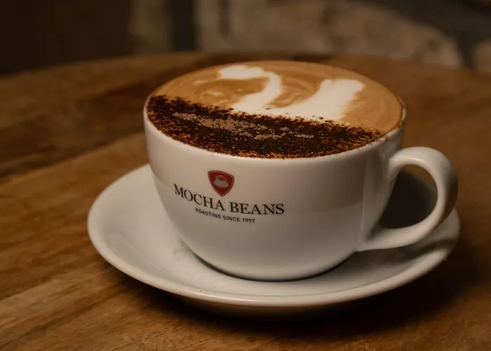 Mocha Newcastle * Galway