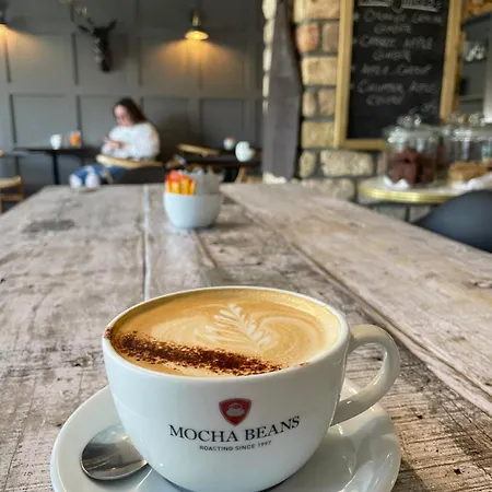 Mocha Newcastle *
