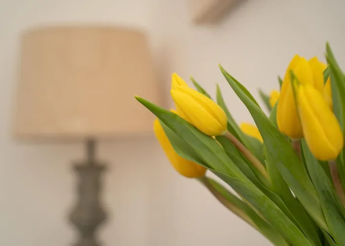 בית הארחה Mocha Newcastle *