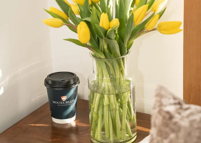 Mocha Newcastle בית הארחה גלוואיי