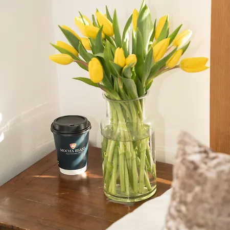 Mocha Newcastle Gasthuis Galway